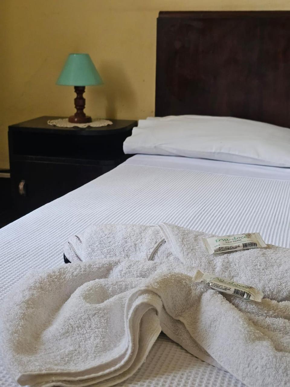 Varzea Palace Hotel