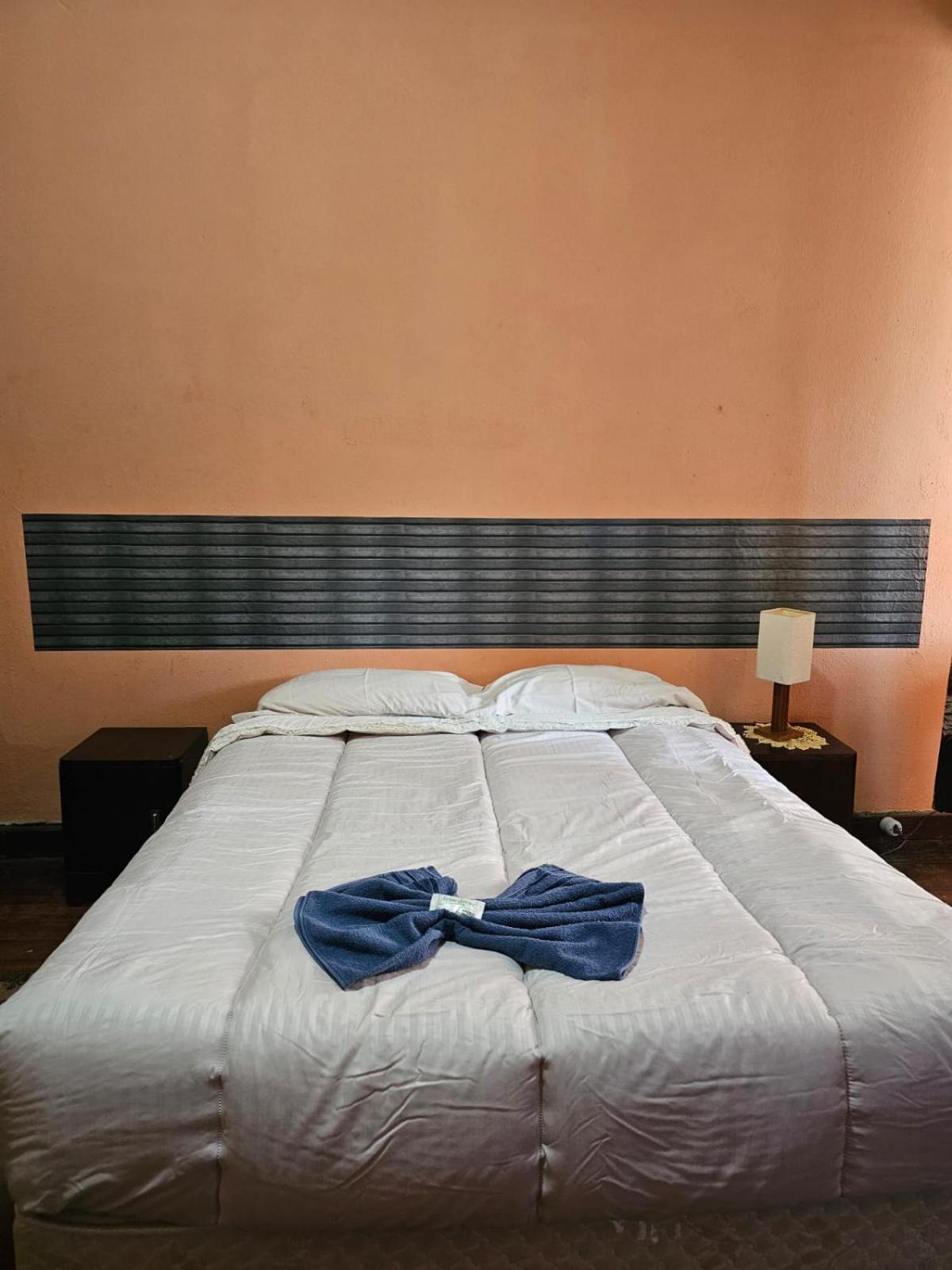 Varzea Palace Hotel